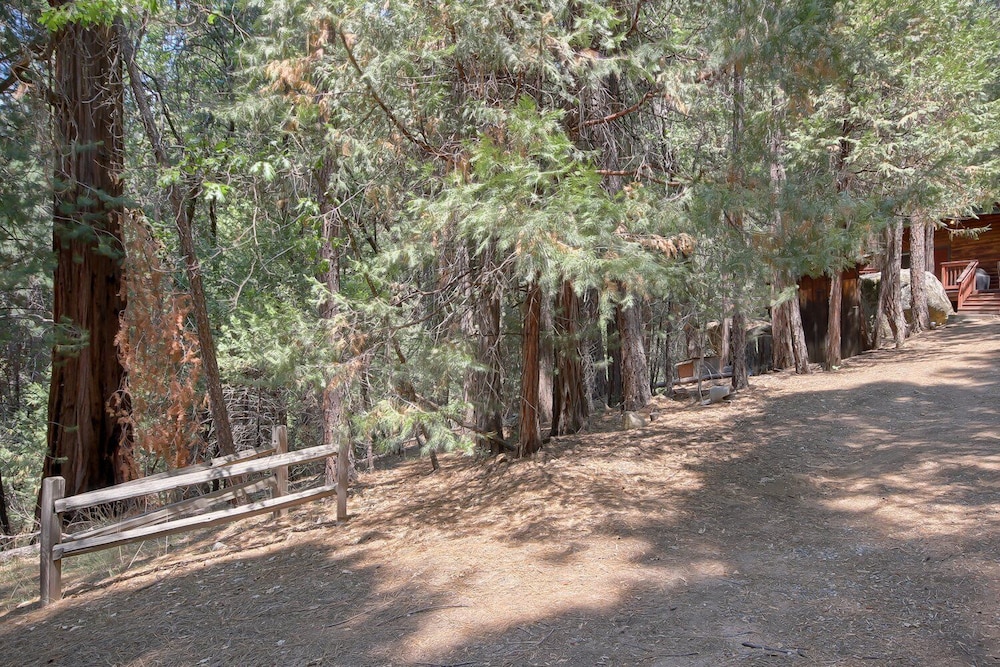 The Tree House