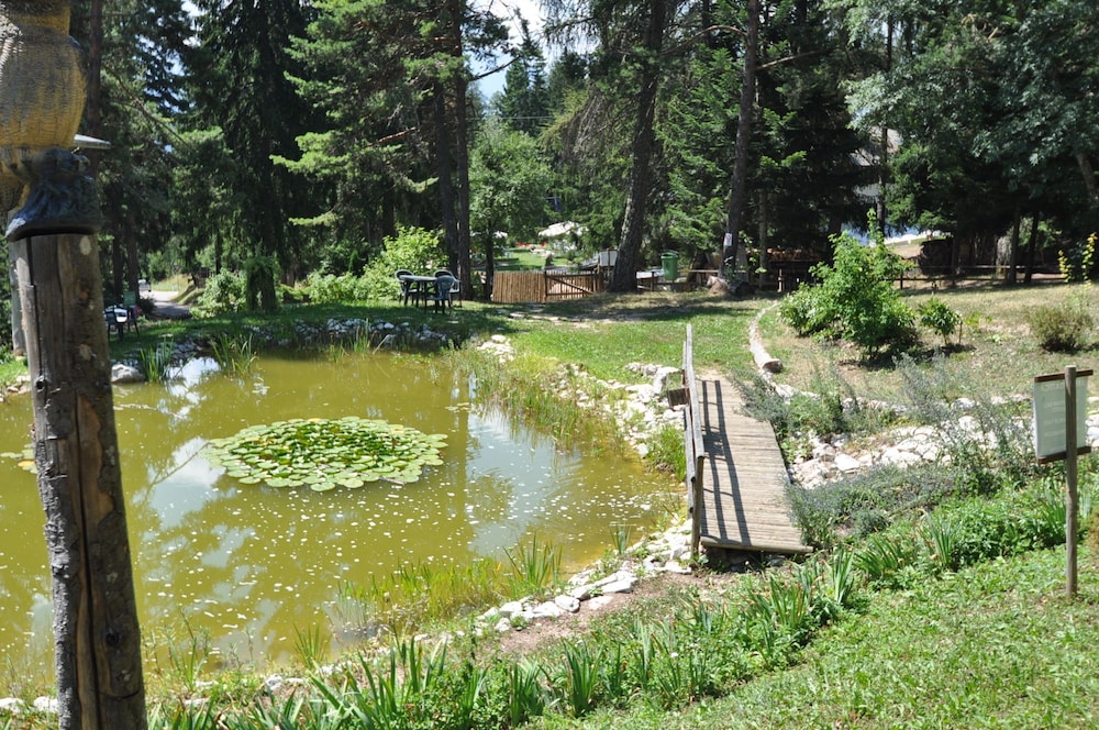 Photo 41