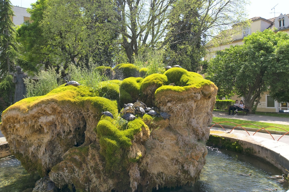 Photo 25