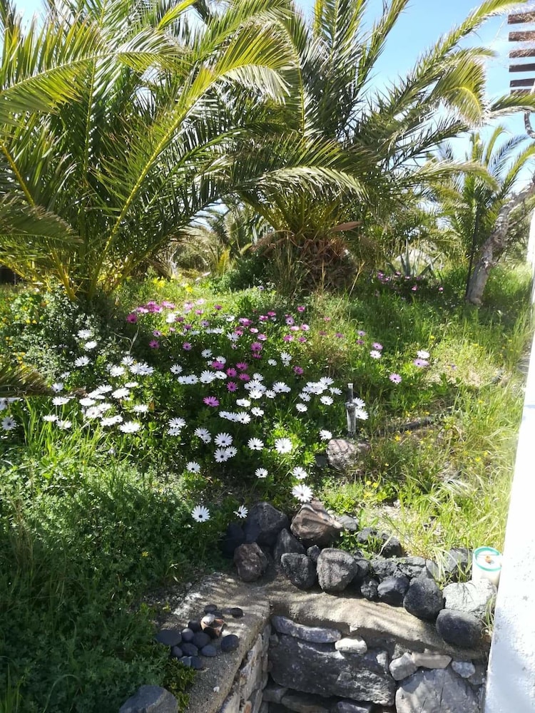 Photo 53