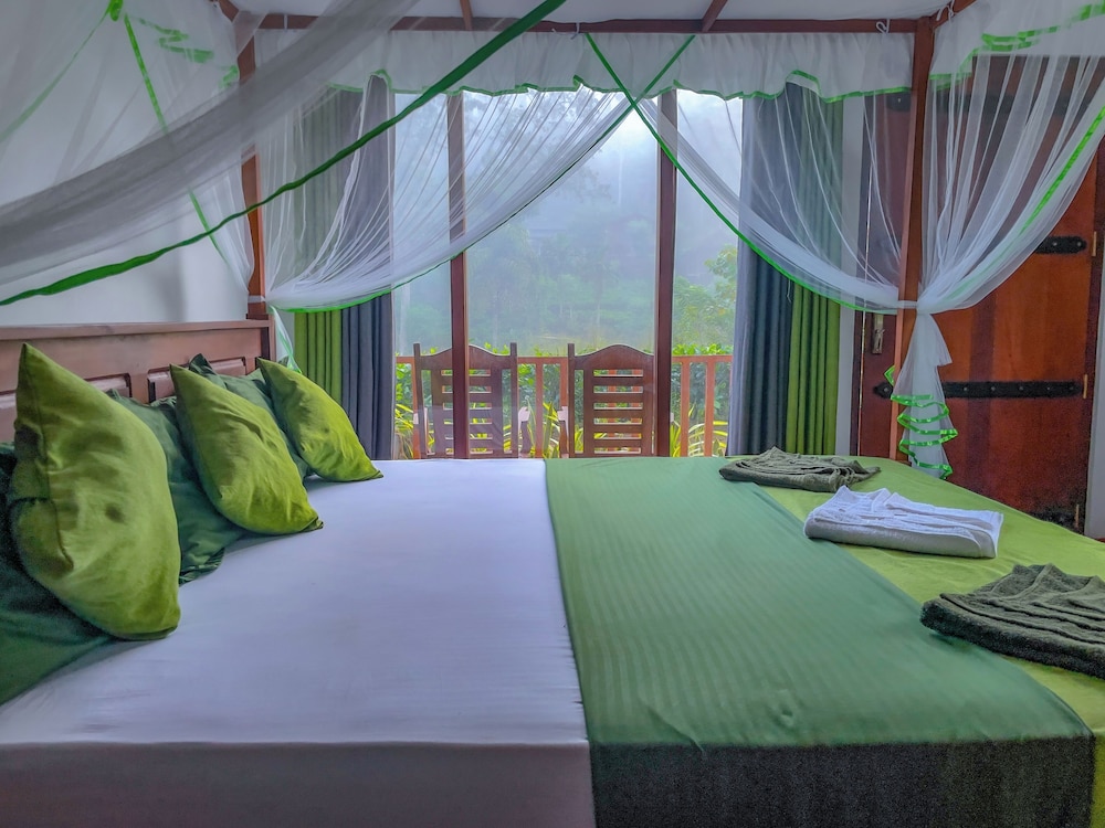 Rain Forest Vibe Sinharaja
