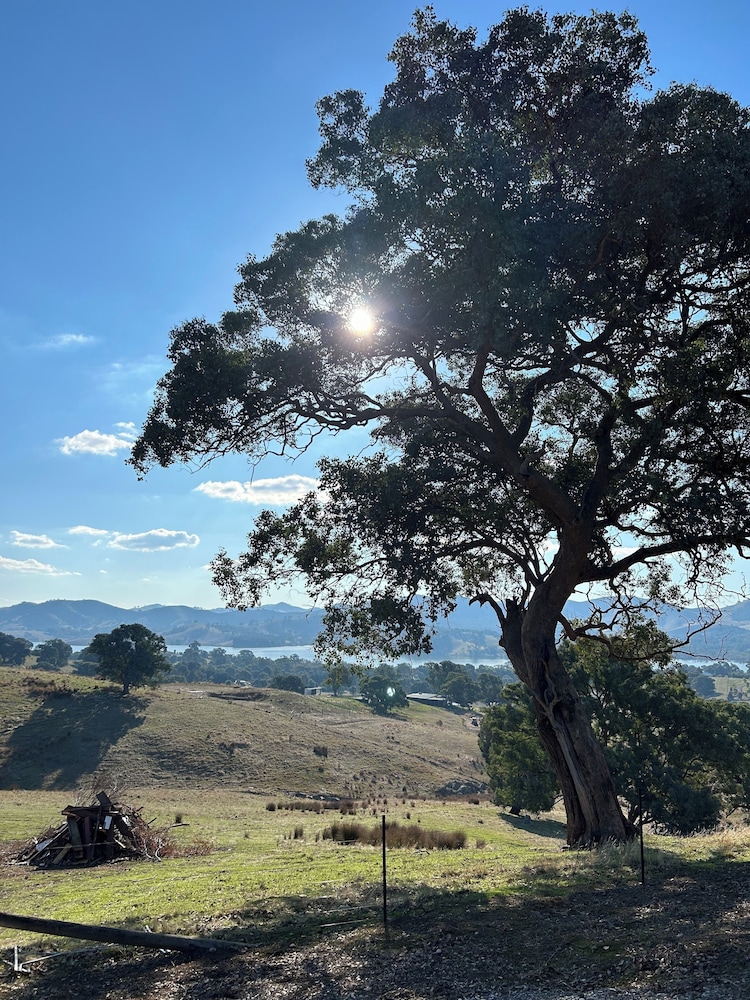 Burnt Creek Cottages Mansfield