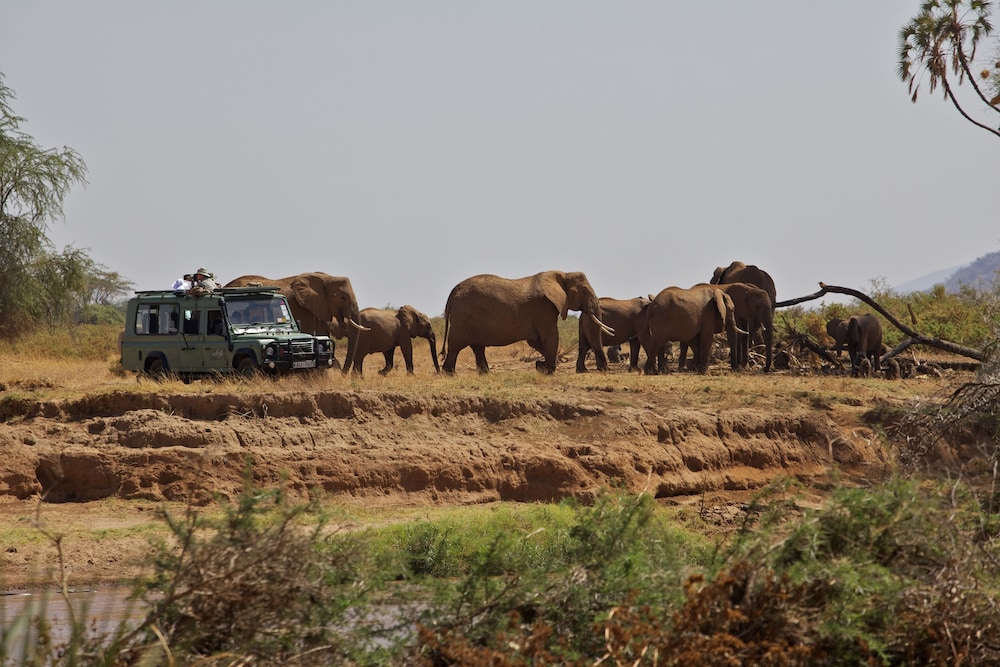 Ashnil Samburu Camp