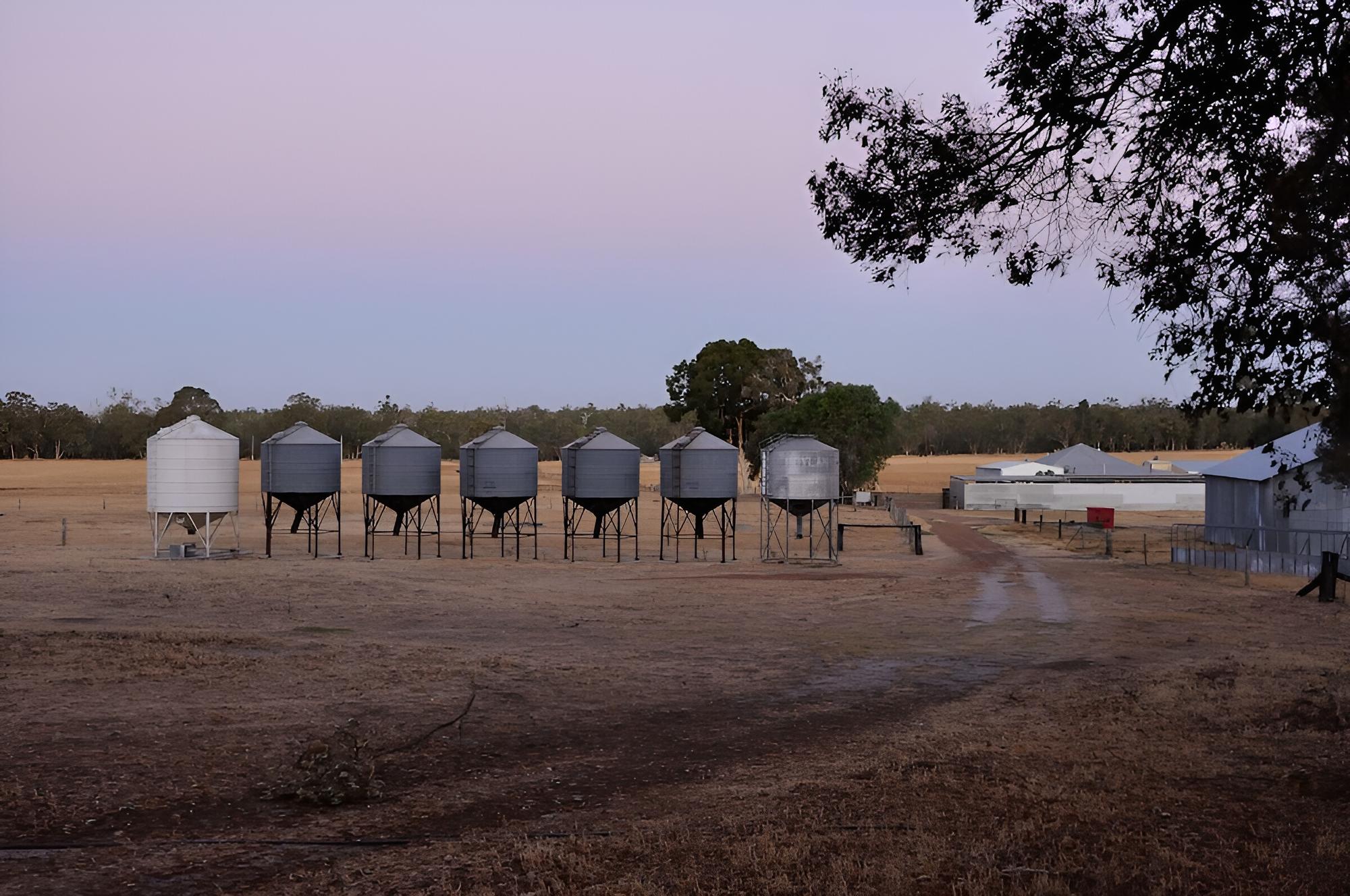 Wilga Farm Stay