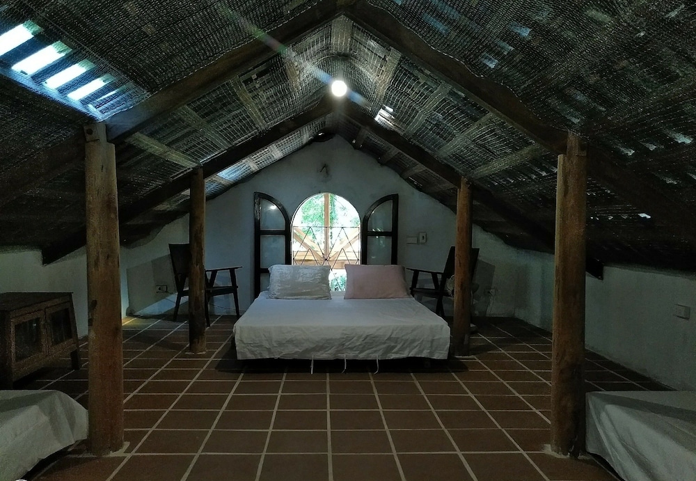 The Ancient House