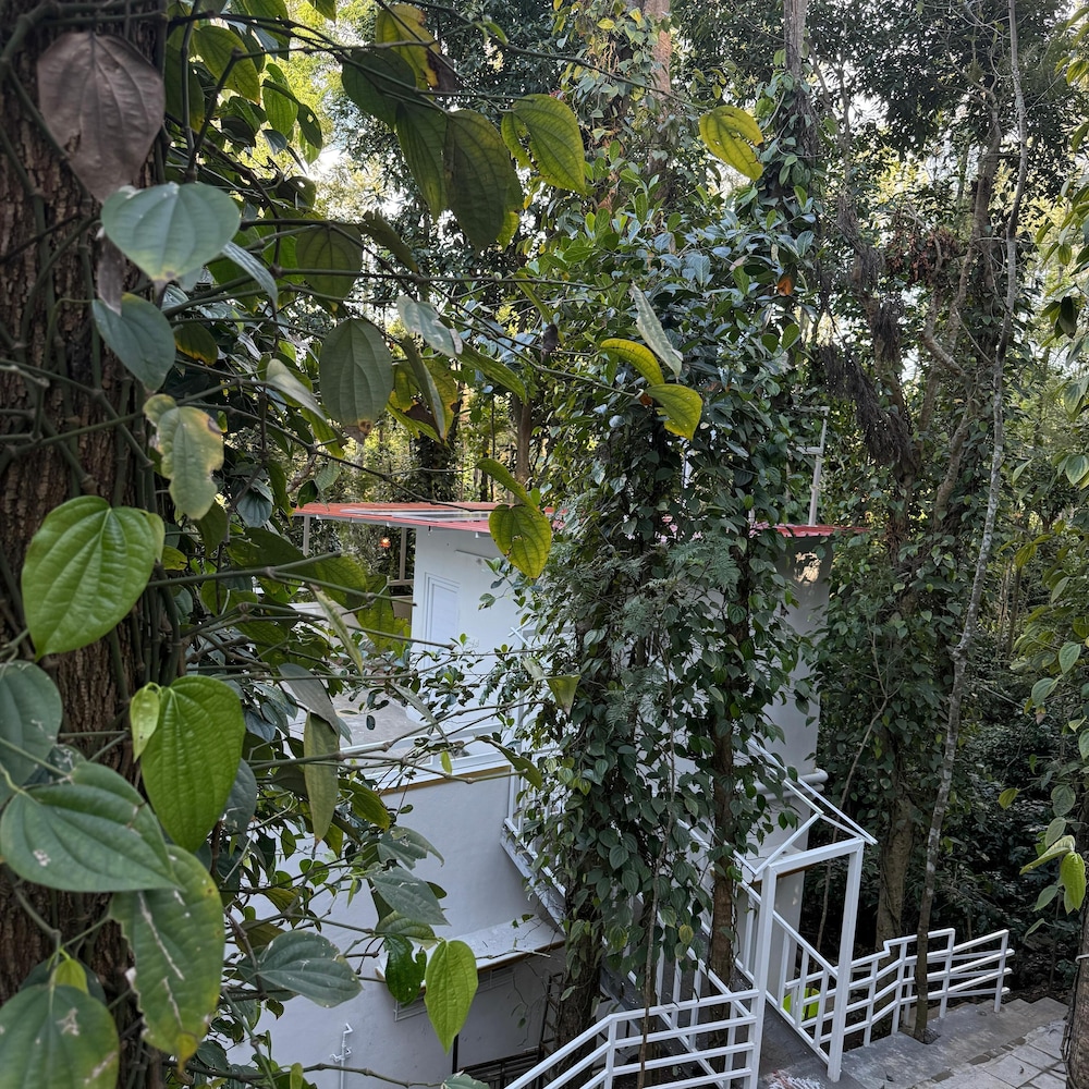 Green Haven Resort