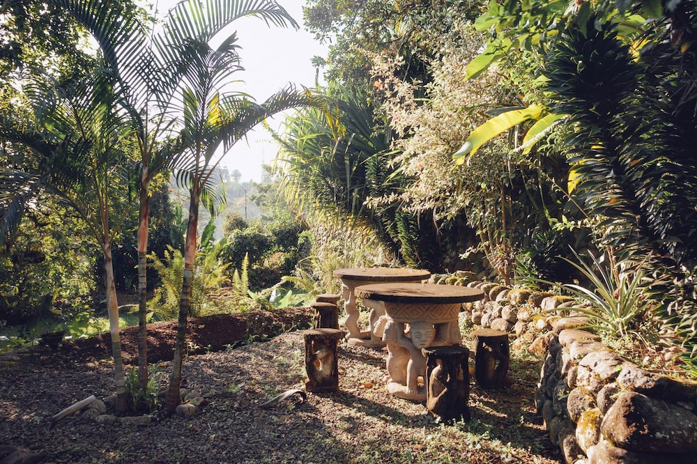 Spanish by the River - Turrialba - Hostel view 3