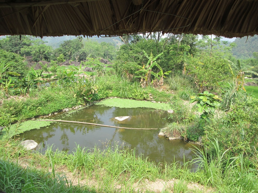Dong Que Homestay-Tours-Motorbike, Car rental, Hiking