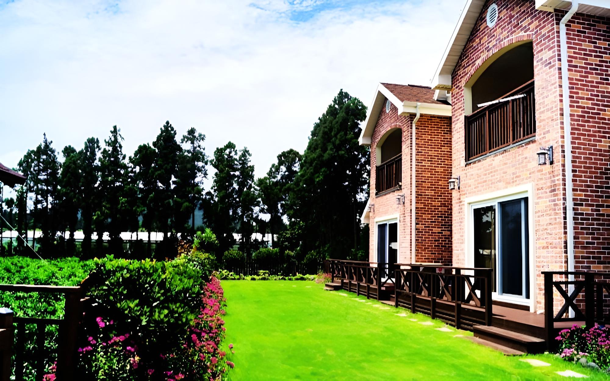 Seoguipo Lucky Clover Pension view 4