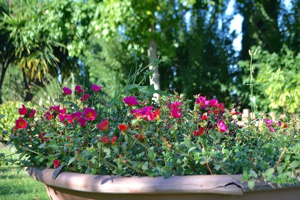 Ars Naturae Biologic Farm