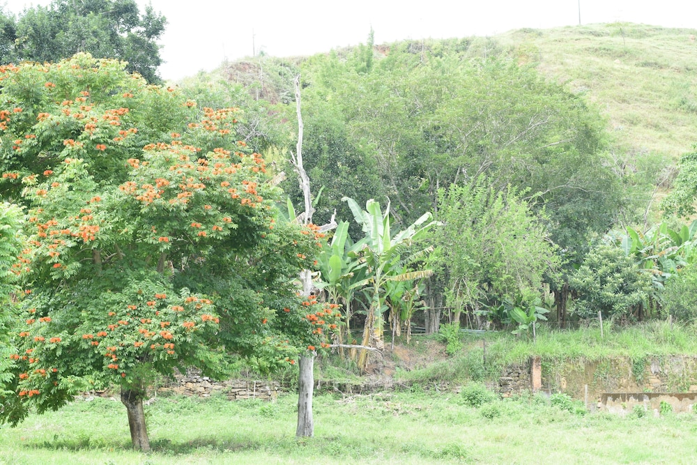 Fazenda São Fernando