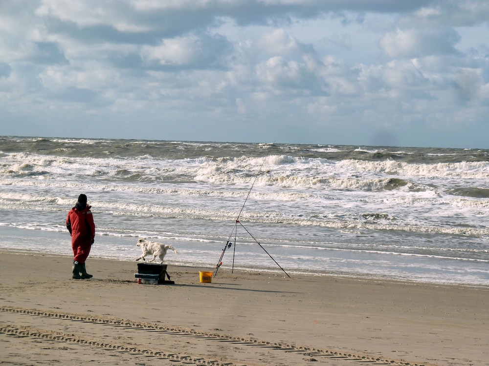 Bed and Breakfast De Pauw