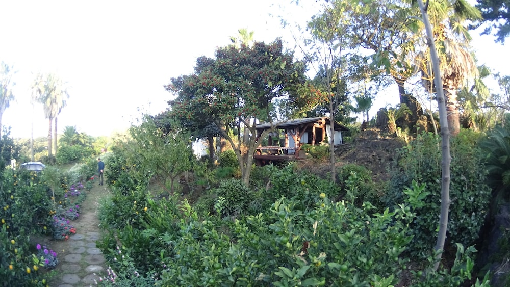 Memory In Jeju Pension