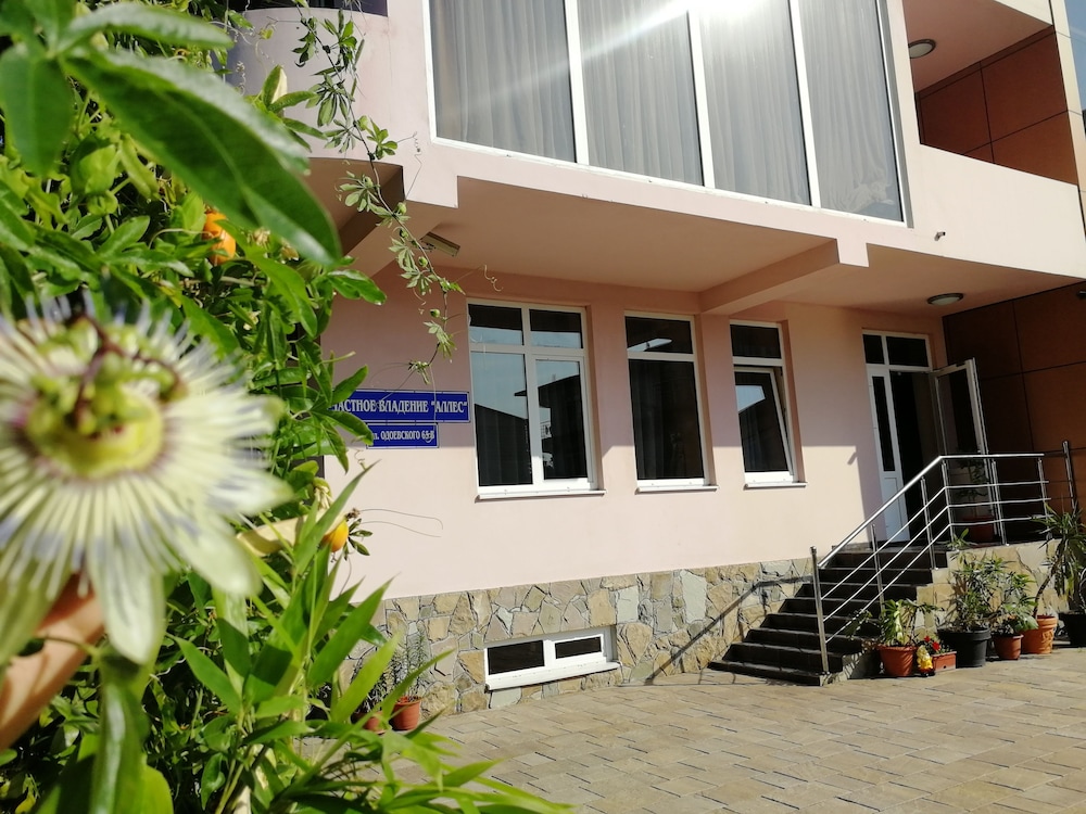 Alles Guesthouse
