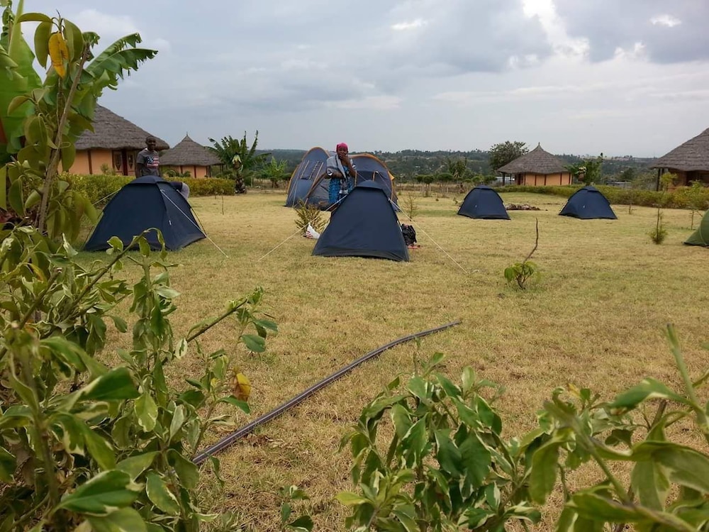 Blue Zone Kenya Resorts and Game Drives