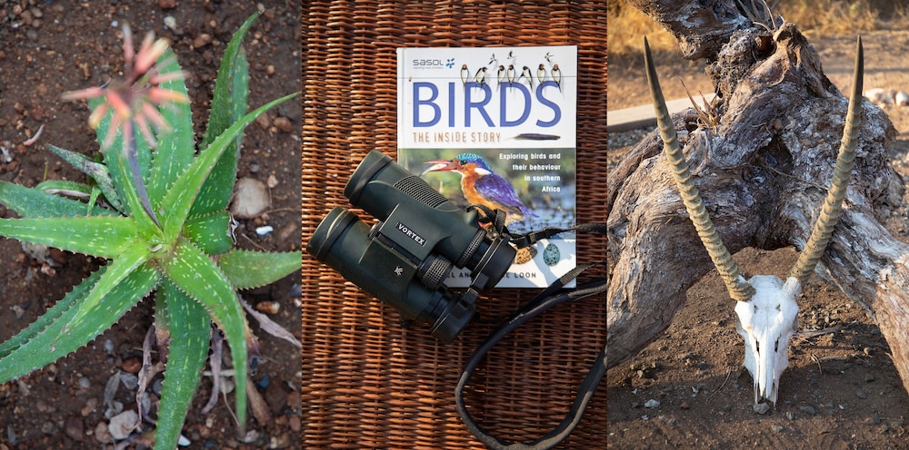 Antares Bush Camp & Safaris - Hostel