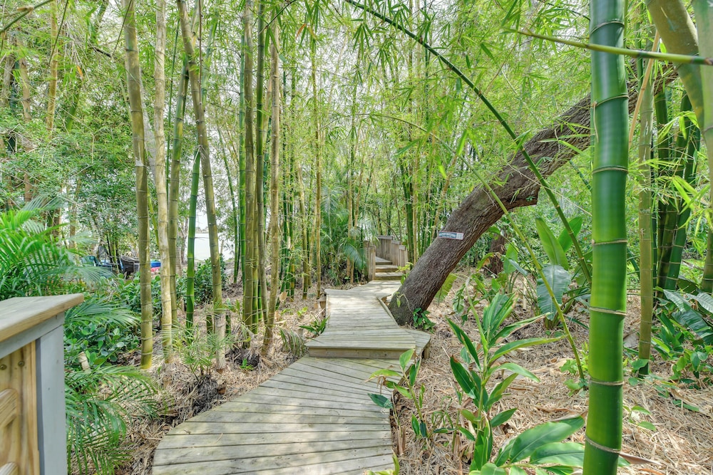 Private Beach + Outdoor Oasis: Home in St Pete!