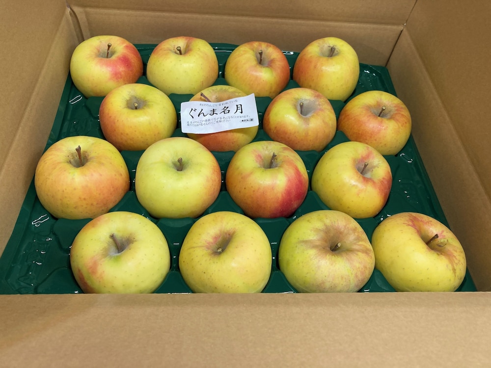 Apple farm glamping villa HARASAWA