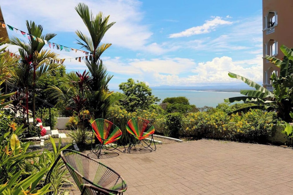 Mi Zaru Sea View Animal Paradise
