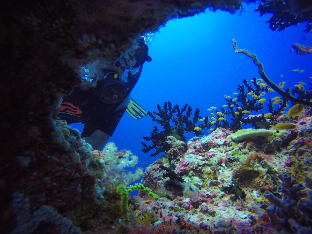 Equa Reef Maldives