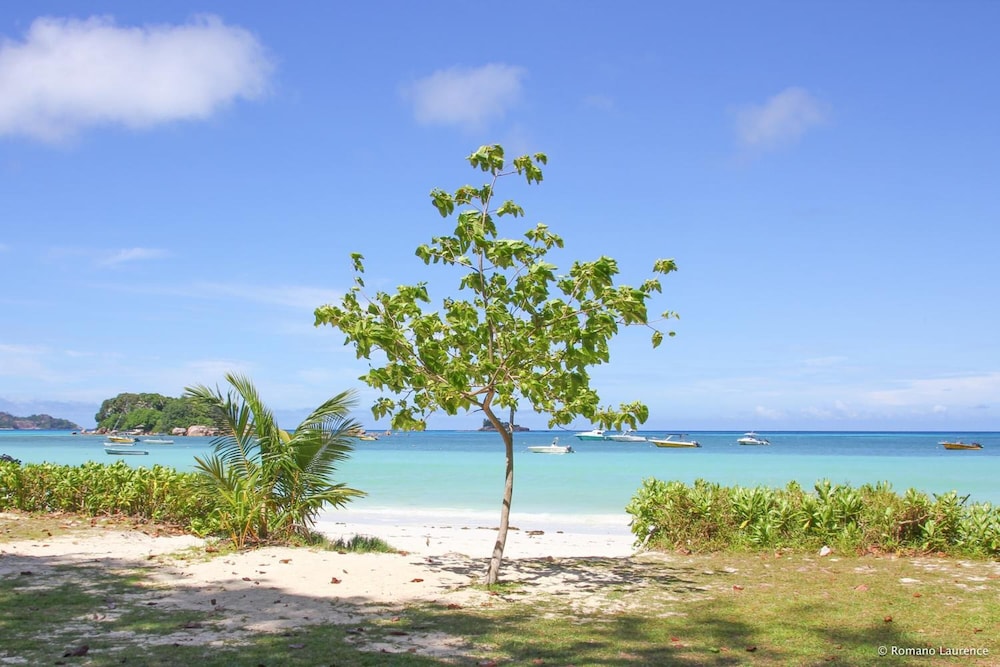 Pirogue Lodge photo 4