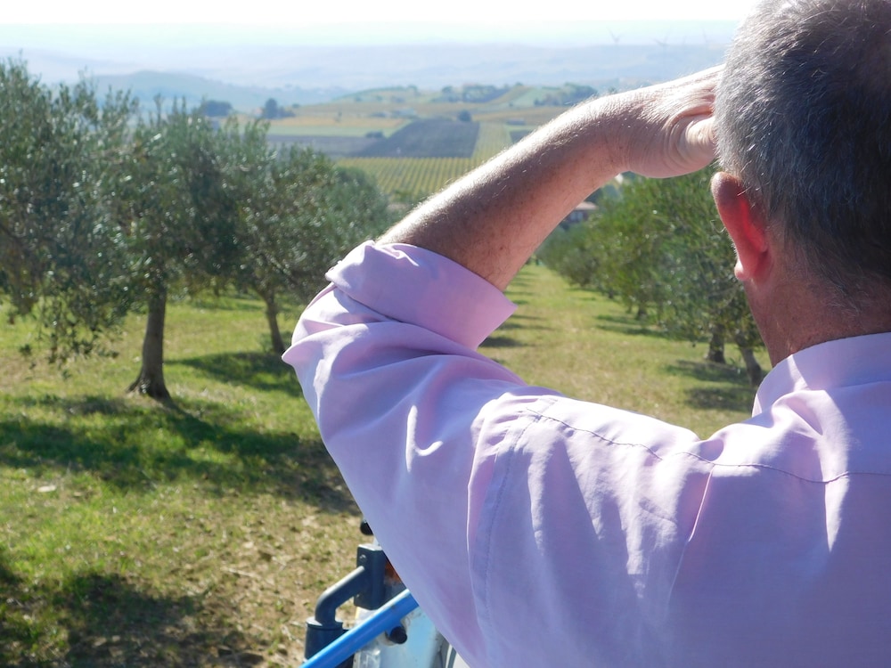 Agriturismo Case Sgaraglino