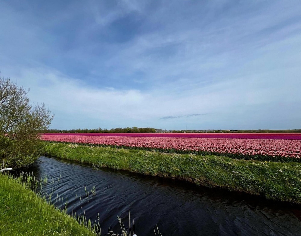 Beautiful Bungalow in North Holland