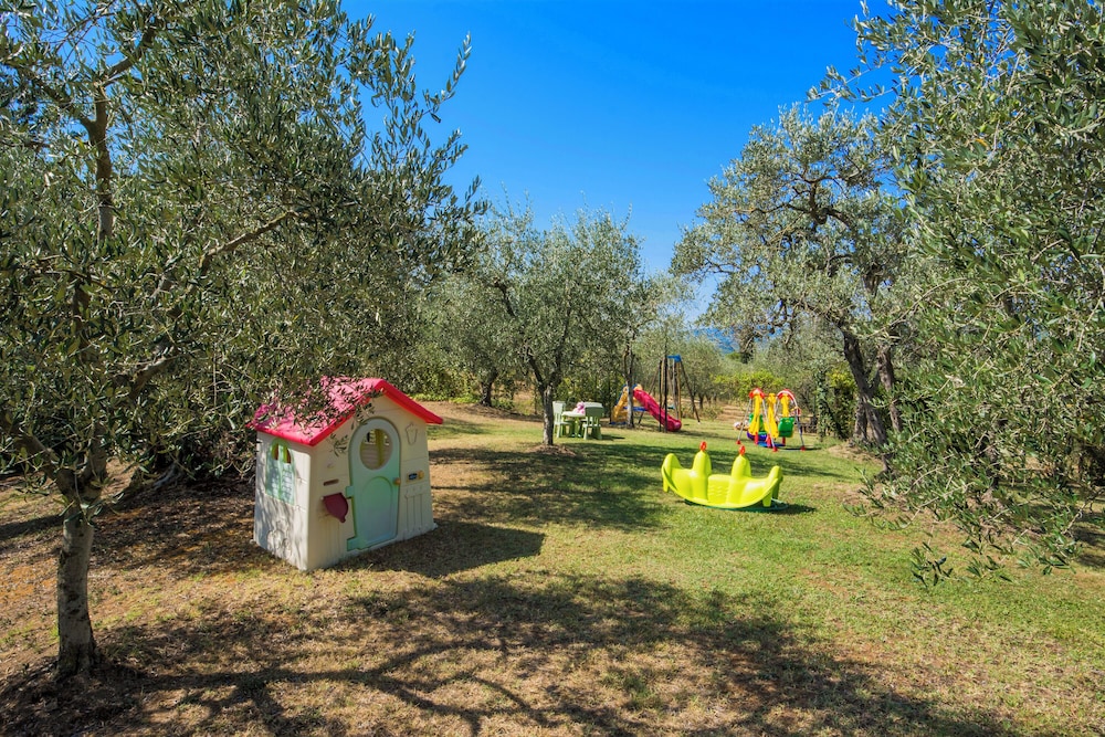 Amazing Chianti Site Olivo Shared Pool