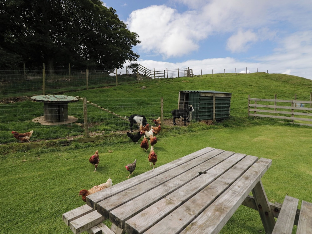 Orchard