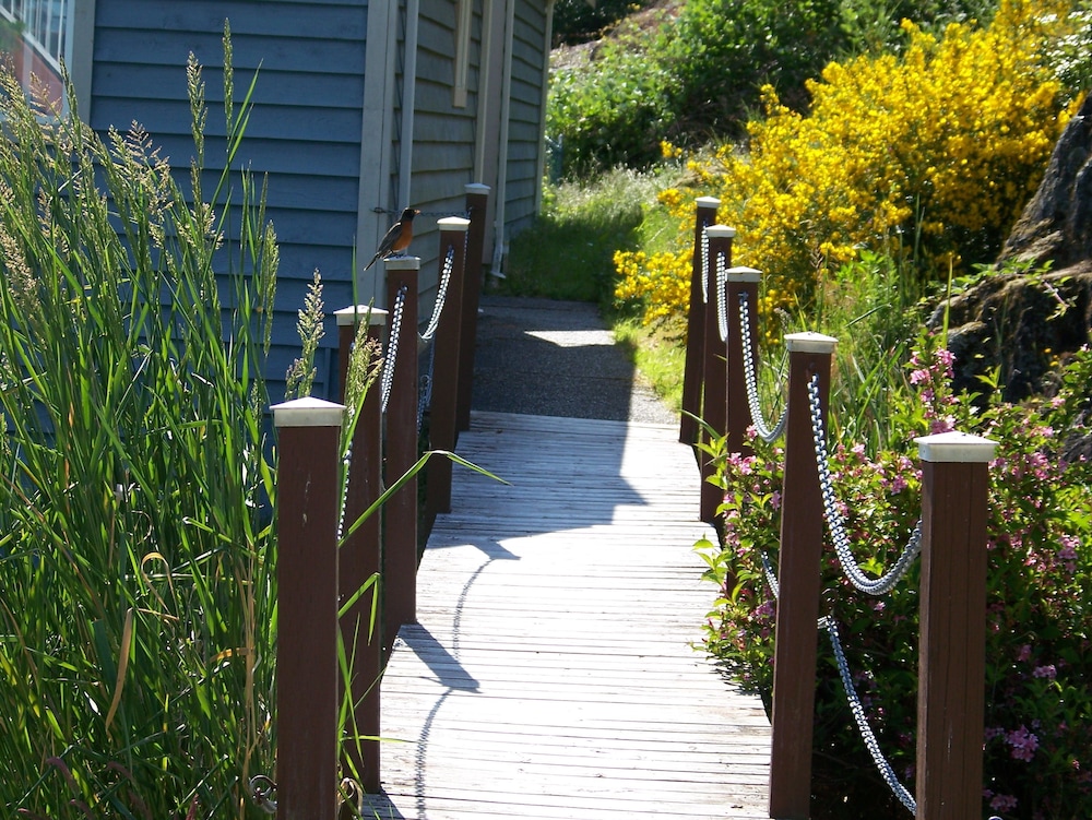 Moonlit Cove B&B