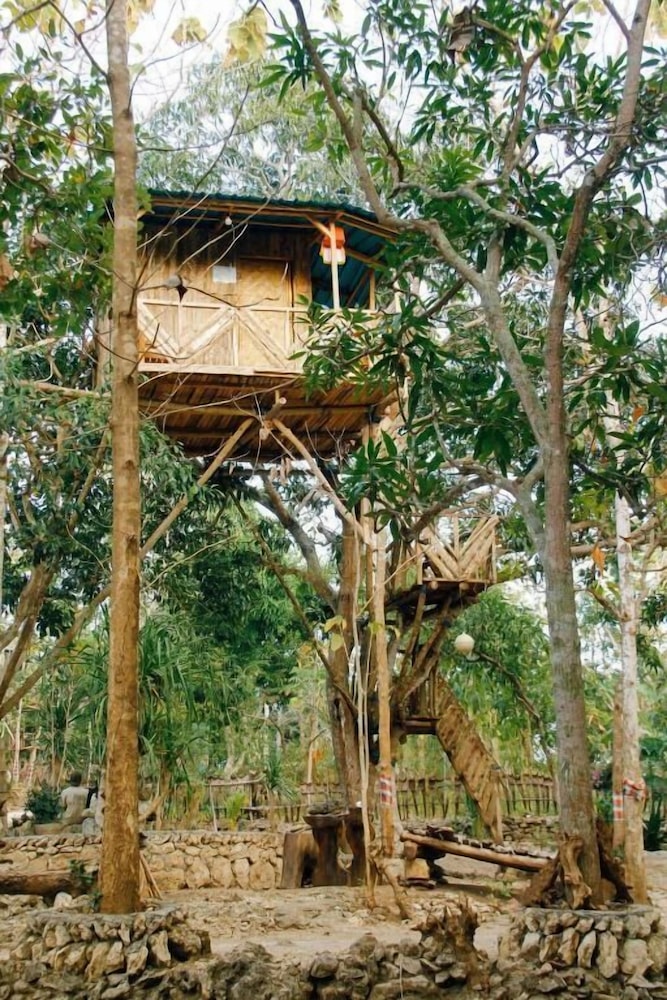 Nyuh Bengkok Tree House