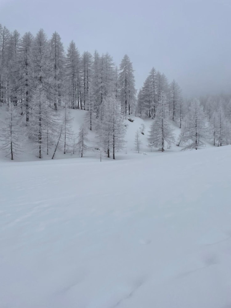 B&B L'Albero Maestro, Billede 16