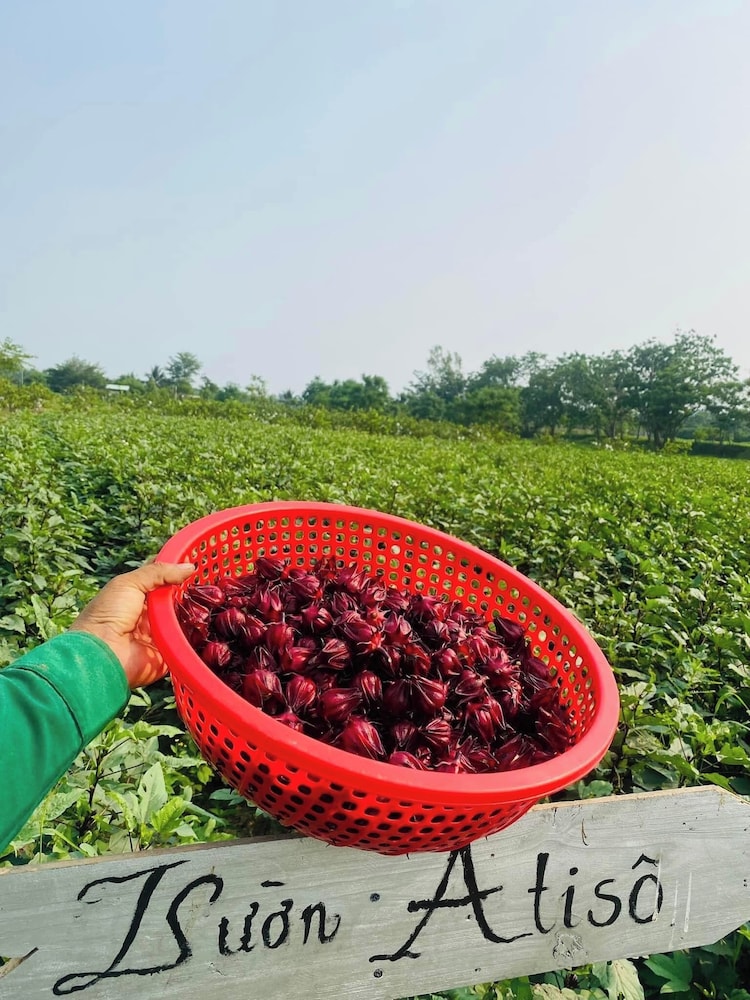 Thanh Chiem Village, photo 11