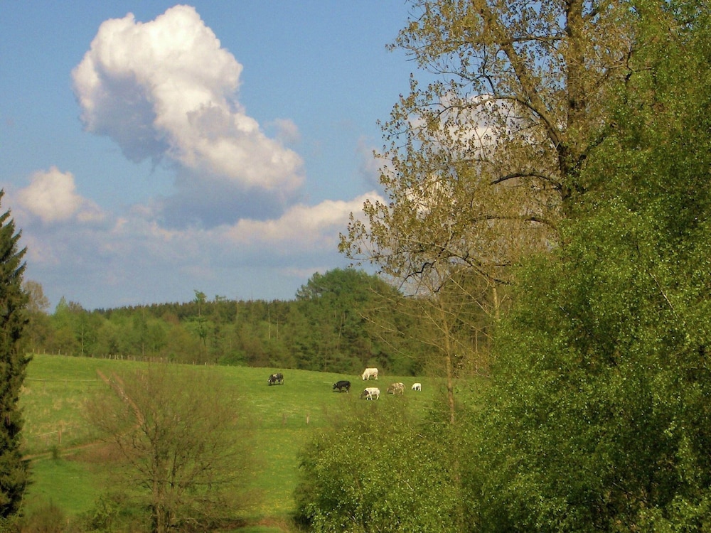 Photo 32