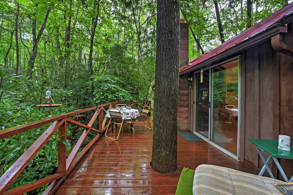 Serene Creekside Cottage Near Mount Pisgah! view 3