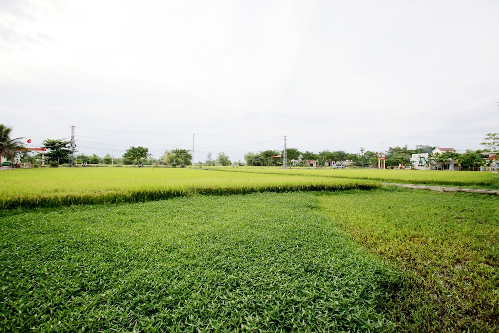 Rice Flower Homestay