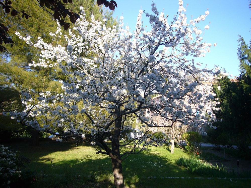 Photo 26