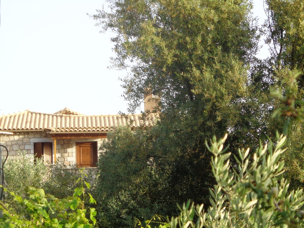 Menina Farm