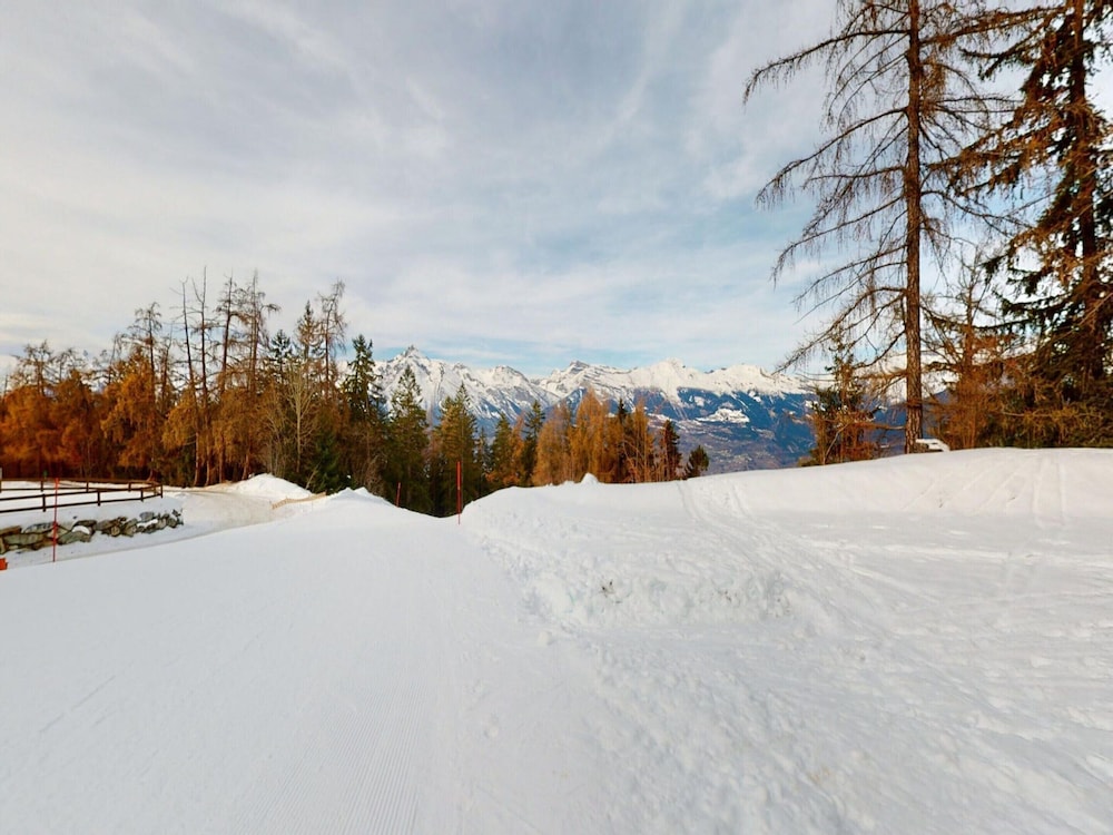 Apartment in Ski In Ski Out Location