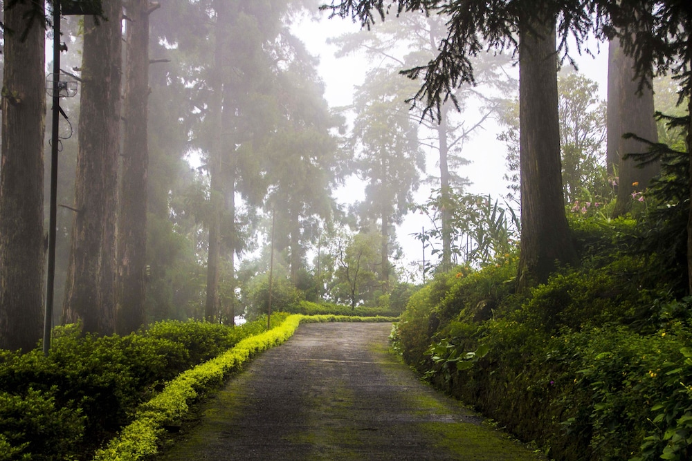 Goomtee Tea Garden Retreat