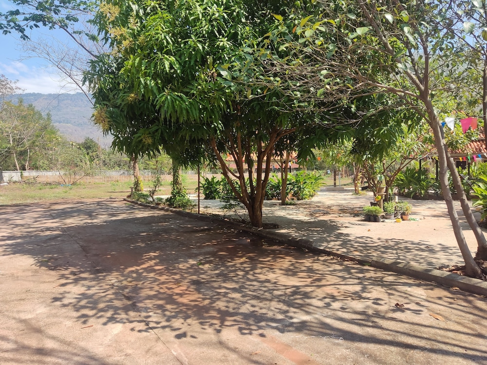 Photo 13