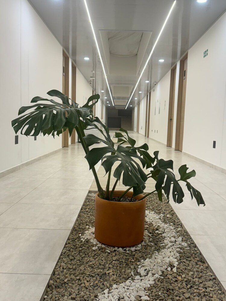 HOSTAL DEL LLANO