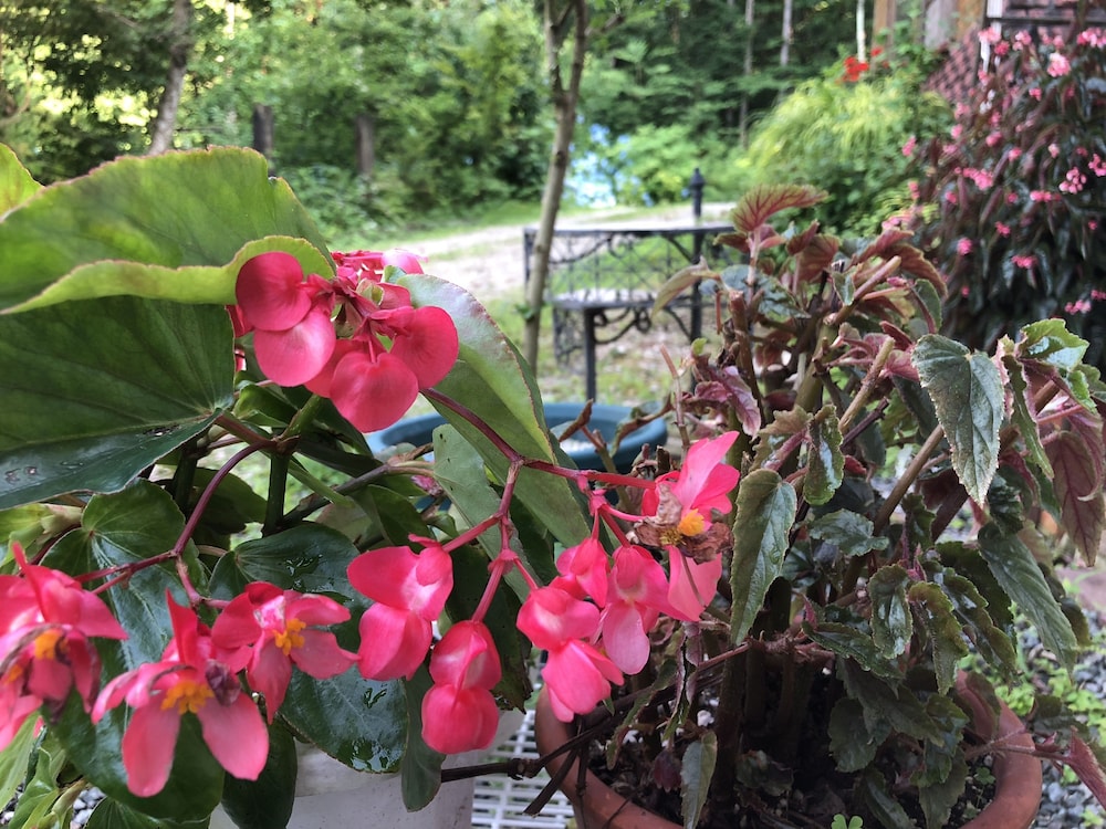Inn of Amigos Yasuda Pension