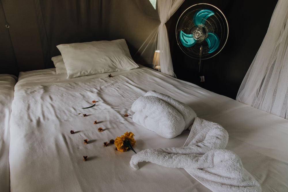 Shalati Safari Camp