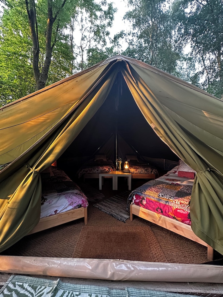 Camping De Helleborus