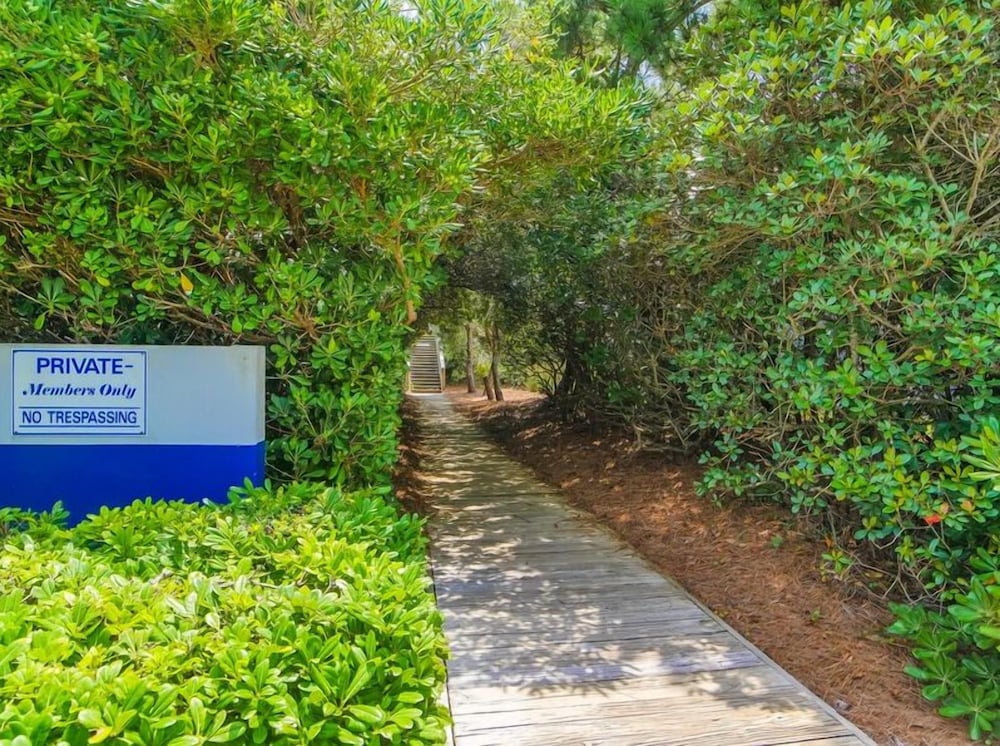 The Shell Collector by Topsail Realty