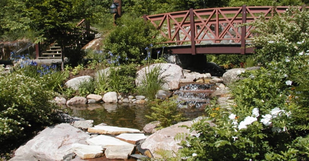 Algonquin - RVMT