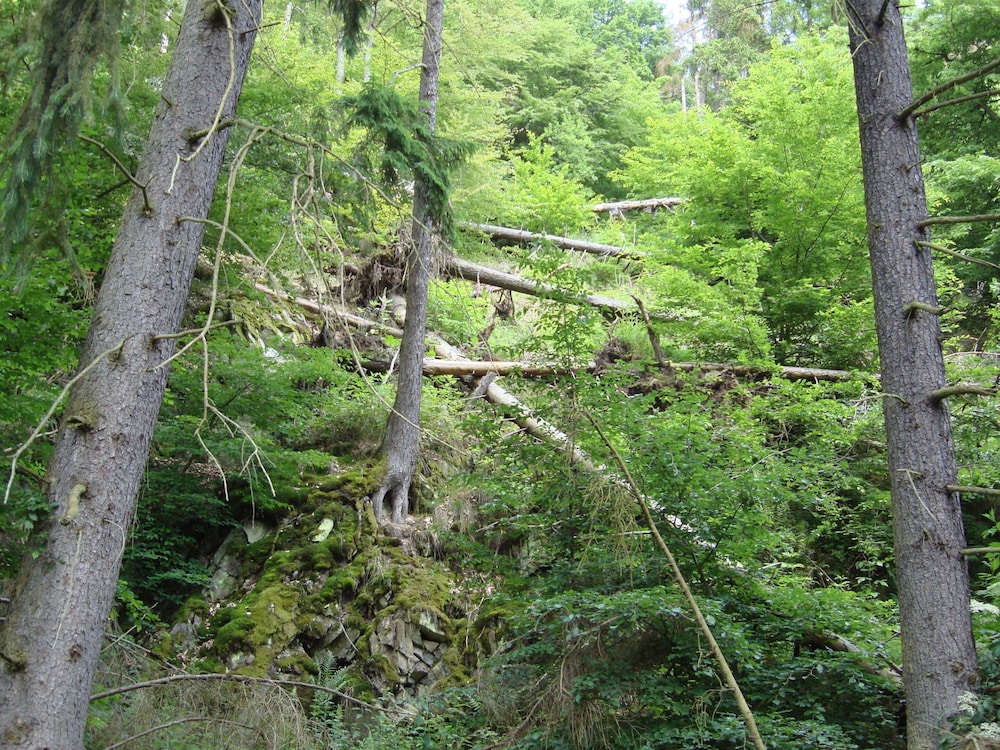 Hillside Cottage Near Winterberg view 2