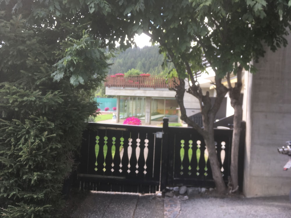 Photo 18