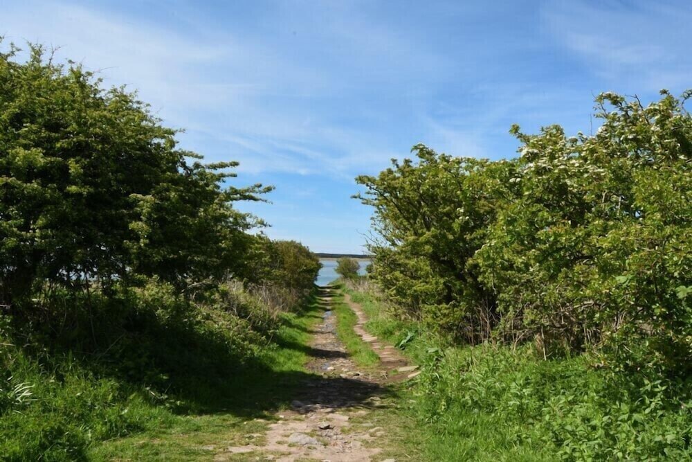 Kittiwake Cottage, Budle Bay